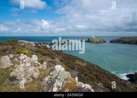 Strumble Head in der Nähe von Fishguard im Pembrokeshire Coast National Park, Wales. Stockfoto