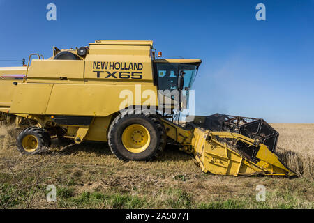 Ein New Holland TX65 Mähdrescher bei der Ernte an einem sonnigen Tag. Stockfoto