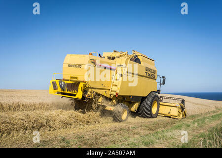 Ein New Holland TX65 Mähdrescher bei der Ernte an einem sonnigen Tag. Stockfoto