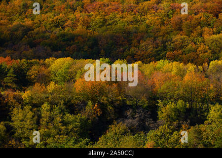 Herbst in der Tschechischen Republik, 16. Oktober 2019. (CTK Photo/Martin Sidorjak) Stockfoto