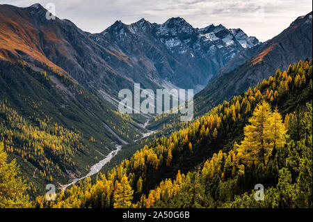 Wilde, ungezähmte Fluss und Lärchen in Val Cluozza im Schweizer Nationalpark Stockfoto