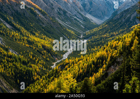 Wilde, ungezähmte Fluss und Lärchen in Val Cluozza im Schweizer Nationalpark Stockfoto