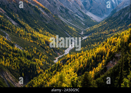 Wilde, ungezähmte Fluss und Lärchen in Val Cluozza im Schweizer Nationalpark Stockfoto