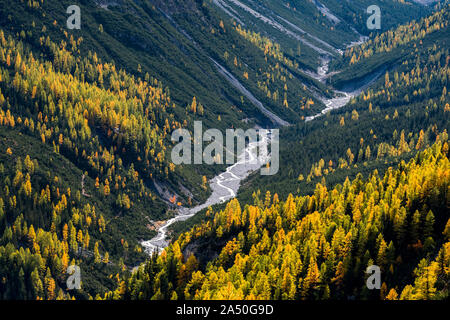 Wilde, ungezähmte Fluss und Lärchen in Val Cluozza im Schweizer Nationalpark Stockfoto