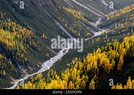 Wilde, ungezähmte Fluss und Lärchen in Val Cluozza im Schweizer Nationalpark Stockfoto