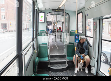 HELSINKI, Finnland - 23. MAI 2019: Straßenbahn Interieur. Ein unbekannter Mann mit Hund sitzt in halb leeren Straßenbahn und blickt Fenster Stockfoto