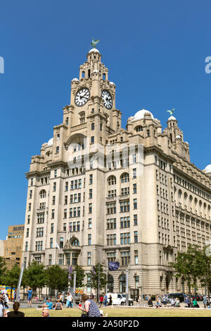 Royal Liver Building am Molenkopf Liverpool, Liverpool, Merseyside, England, Vereinigtes Königreich Stockfoto