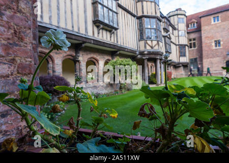 Atemberaubende Innenhöfe im berühmten College der Universität Cambridge. Student an der Universität von Cambridge. Cambridge University Campus Stockfoto