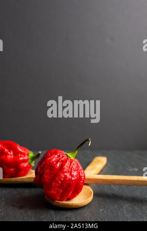Heißeste Pfeffer in der Welt. Trinidad Scorpion Butch, tausend Mal mehr würzig als Habanero. Auf schwarzer Schiefer Hintergrund, mit natürlichem Licht. Stockfoto