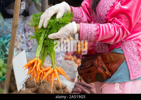 Weibliche Hände mit weißen Handschuhen holding Bündel von Möhren in Farmers Market. Stockfoto