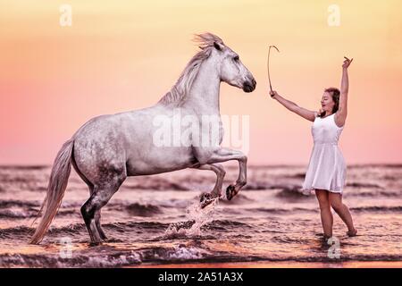 Frau und German Riding Pony Stockfoto