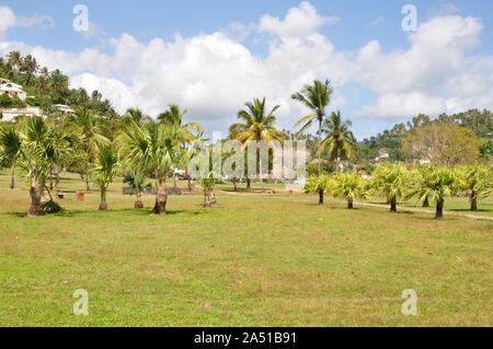 Park, Samana, Dominikanische Republik Stockfoto