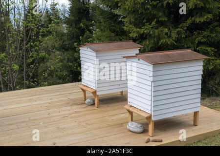 Bienenstöcke. Bienenstock auf Holz steht. Verschwommen Bergwald Hintergrund. Selektive konzentrieren. Stockfoto
