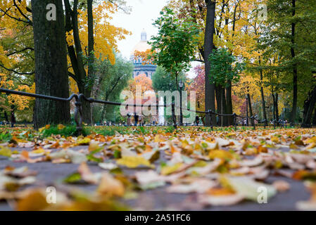 Herbst Landschaft, Park Pfade mit Laub bedeckt. St. Petersburg Alexandrovsky Park. Stockfoto