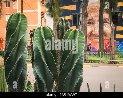 Cactus und im Hintergrund die Malerei der alten Frau in Mexiko. Stockfoto