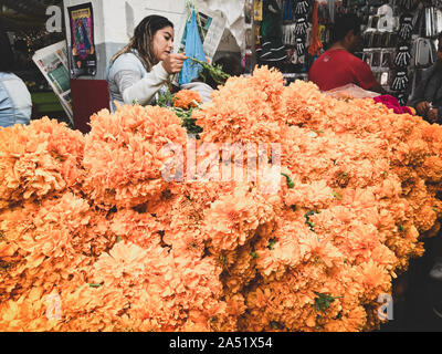 Verkäufer von sammetblume Blumen in den öffentlichen Markt von Mexiko. Stockfoto