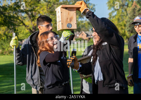 Detroit, Michigan - Kursteilnehmer von den club Fordson's High School installieren bluebird Boxen, dass Sie im Marathon Gärten, einem 100 Hektar großen grünen Stockfoto