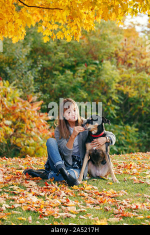 Portrait von schöne glückliche junge Kaukasier Frau sitzt auf dem Boden unter den Herbst gelbe Blätter und Ihr Haustier Hund umarmt. Beste Freunde Spaß o Stockfoto