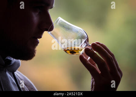 Embargo auf 0001 Freitag, 18. Oktober ein 12-jähriger Highland Single Malt Whisky ist in der probierstube an deanston Destillerie in Doune getestet. Stockfoto