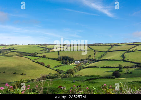 Sanfte Landschaft, Exmoor National Park, Devon, England, Vereinigtes Königreich Stockfoto