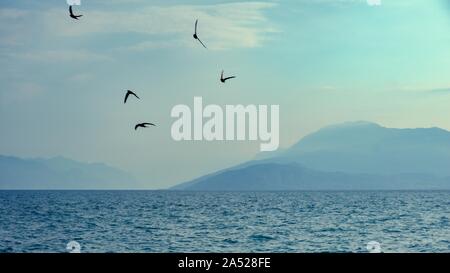 Horizontale Foto mit Blick über den Lago di Garda. See in Italien hat hohe Berge im Hintergrund teilweise in Wolken versteckt. Paar schlucken Vögel sind auf der Stockfoto