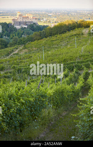 Weinberge mit mittelalterlichen Schloss Torrechiara im Hintergrund, Parma, Italien. Stockfoto