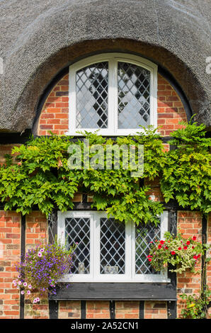 Nahaufnahme Detail eines typisch Englisch, Reetdachhäuser, Ampthill, Bedfordshire, Großbritannien Stockfoto