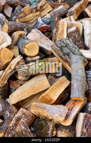 Brennholz - Haufen trockenes Holz Protokolle close-up Stockfoto