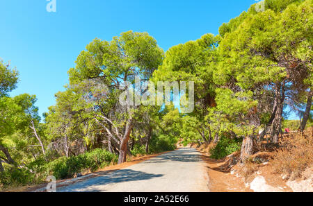 Straße durch den Pinienwald in Aegina Island an sonnigen Sommertagen, Saronische Inseln, Griechenland - Landschaft Stockfoto