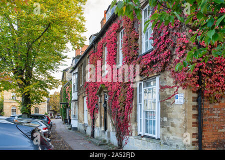 Parthenocissus Tricuspidata. Boston Efeu auf ein Haus im Herbst in Woodstock, Oxfordshire, UK Stockfoto