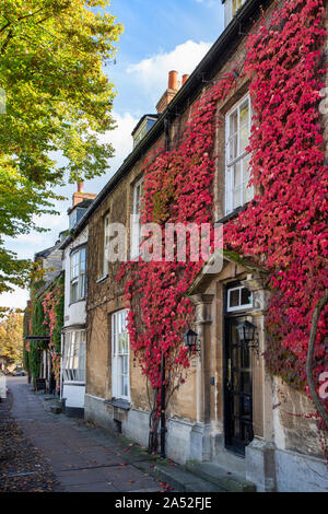 Parthenocissus Tricuspidata. Boston Efeu auf ein Haus im Herbst in Woodstock, Oxfordshire, UK Stockfoto