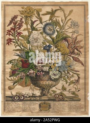 Zwölf Monate der Blumen: September, 1730. Stockfoto