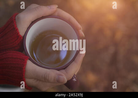 Schöne Mädchen in Pullover holding Tasse Tee in der Hand im Wald. Warme Herbst moody Foto, Herbst Konzept. Platz kopieren Stockfoto