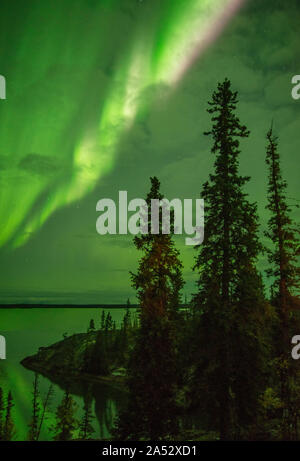 Aurora Borealis, oder Northern Lights, in der Nähe von Yellowknife, NWT, Kanada, Herbst Stockfoto