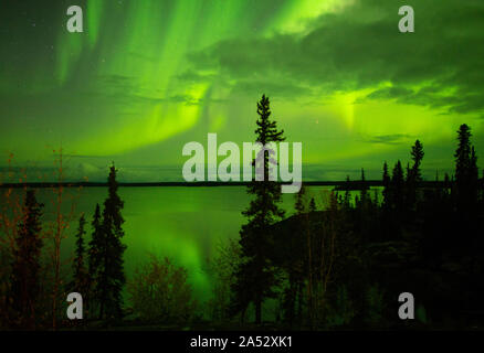 Aurora Borealis, oder Northern Lights, in der Nähe von Yellowknife, NWT, Kanada, Herbst Stockfoto