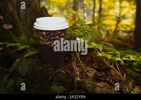 Plastik Tasse Kaffee bleiben auf dem Baumstumpf im Wald. Flare, herbstliche Stimmung und fall Konzept Stockfoto