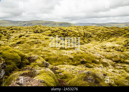 Isländischen Lavafeldern mit Moos bedeckt, South Island panorama Stockfoto