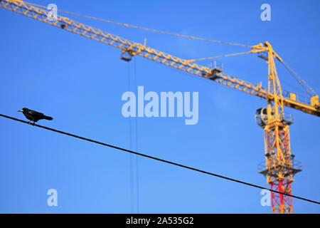 Ein Baukran auf dem Hintergrund des blauen Himmels. Gebäude Baustelle mit Kran und die Krähe auf einem Kabel Stockfoto