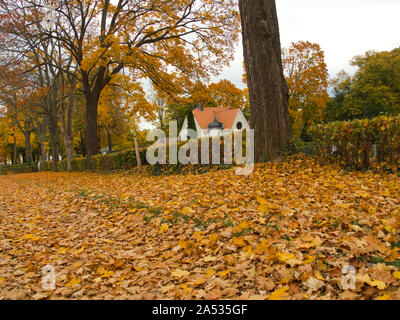 Sammlung von schönen bunten Herbstlaub / grün, gelb, orange, rot Stockfoto