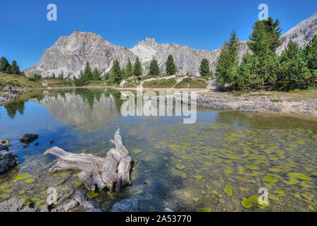 Lago di Limides, Cortina d'Ampezzo, Belluno, Venetien, Dolomiten, Italien, Europa Stockfoto