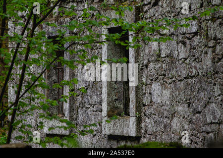 Wand von den Ruinen einer alten Mühle aus Naturstein im Wald in der Nähe von Dolny Mlyn im Nationalpark Böhmische Schweiz gemacht Stockfoto