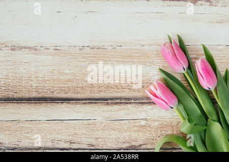 Drei schöne Tulpen liegen flach Perspektive von oben gesehen. Die rosa Blumen auf hellem Braun rustikalen Holztisch. Die hübsche Feder f Stockfoto