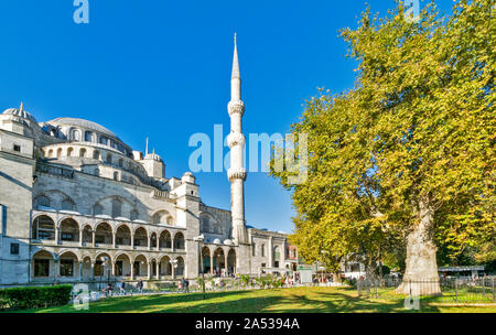 ISTANBUL TÜRKEI Sultan Ahmed blaue Moschee im frühen Morgen umgeben von Bäumen im Spätsommer Stockfoto