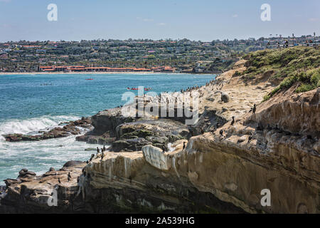 La Jolla San Diego, USA felsige Küstenlinie mit Pelikanen, Menschen und Gebäuden im Hintergrund Stockfoto