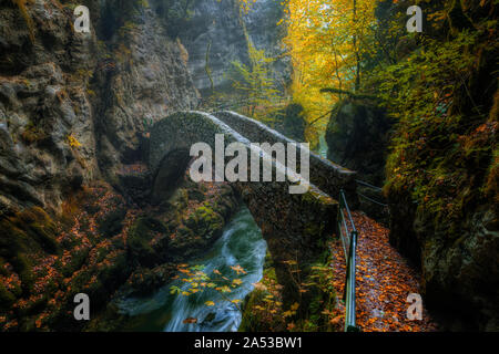 Gorges de l'Areuse, Noirague, Neuchatel, Schweiz, Europa Stockfoto