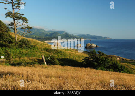 Blick auf Haystack Rock Marine Garten von Ecola State Park Cannon Beach Oregon USA Stockfoto