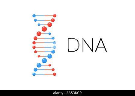 Dns-Spirale isoliert. Vektor Desoxyribonukleinsäure gen teil. Einfache moderne Mikrobiologische genetische Helix Elementstruktur auf weißem Hintergrund Stock Vektor