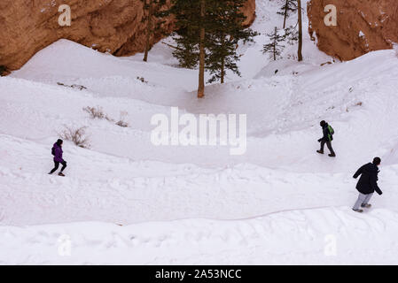 Drei Wanderer Wandern auf einem schneebedeckten Weg im Winter in Bryce Canyon National Park, Utah, Vereinigte Staaten von Amerika Stockfoto
