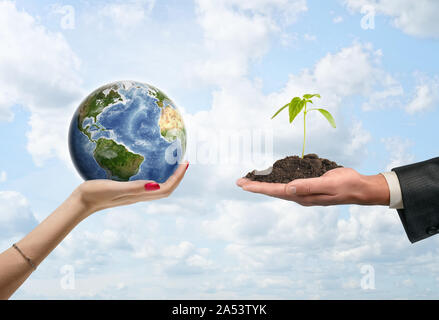 Sprout wächst auf dem Boden der Palm und Weltkugel in der Hand der Frau. Stockfoto