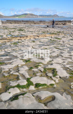 Rocky Beach in der Nähe von Charmouth, Dorset an der Jurassic Coast bei Ebbe Stockfoto